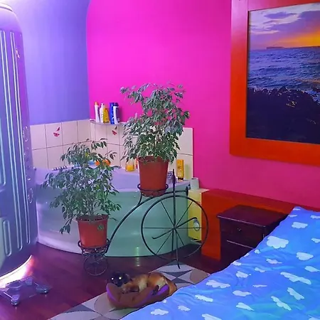 Apartament Park Slaski Katovice Exteriér fotografie